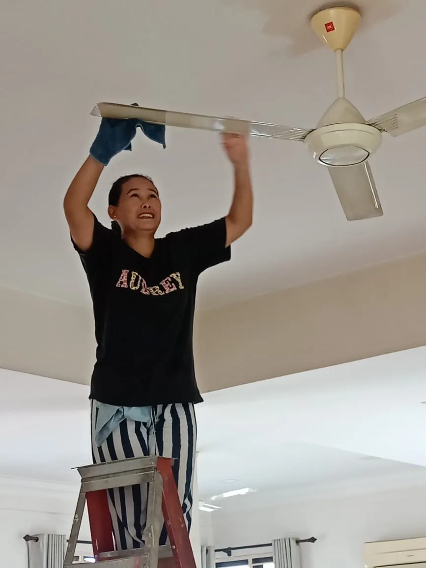 Ceiling fan cleaning